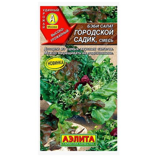 ������ ������ ������� ���� ����� 