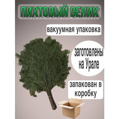 ������ ������ �������� ����� ����