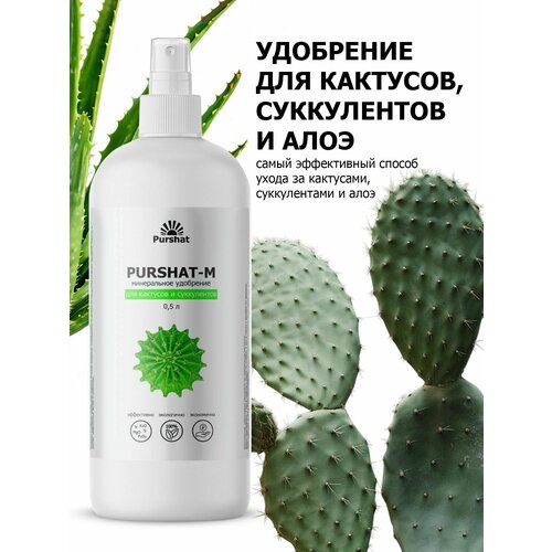 ������ ������ ������-� ����� ��� �������� � ����������� 0,5 � ����