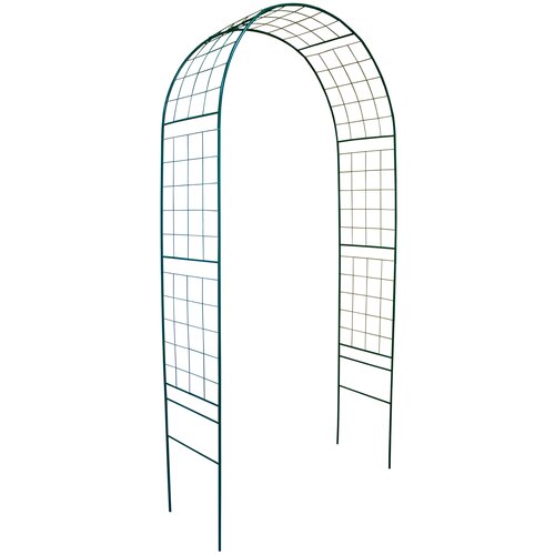 ������ ������ ���� ������� ��������� 