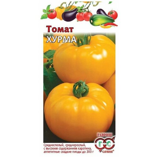 ������ ������ ������ ����� 