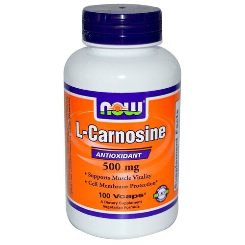  L-Carnosine 500 mg, 100 .   -     , -,   