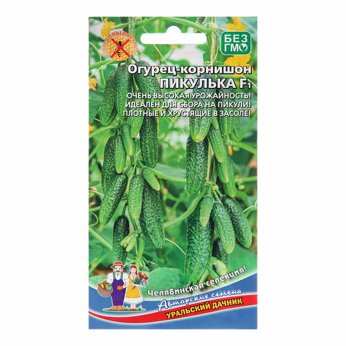 ������ ������ ������ ������ 