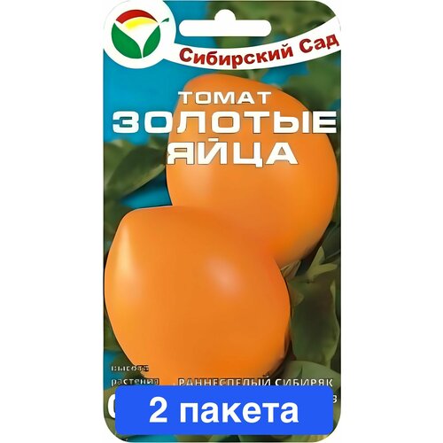 ������ ������ ������ ������ ��������� ��� 