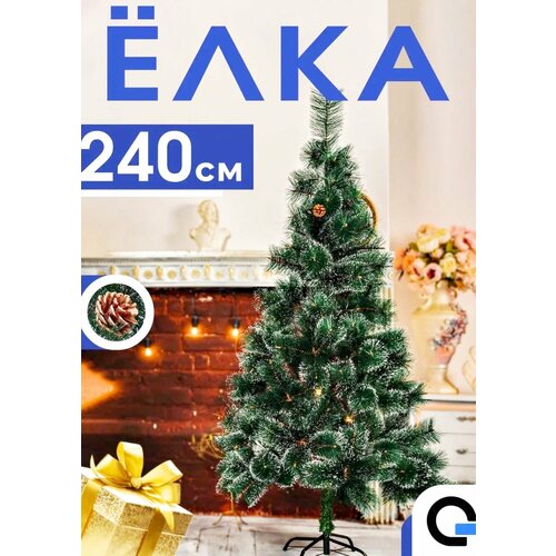 ������ ������ ���� ������������� ���������� ����� �������� / ������ 240 �� ����