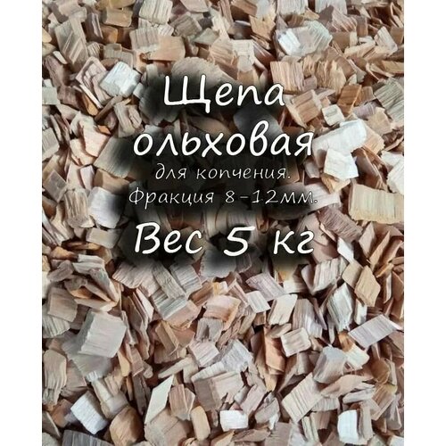 ������ ������ ���� �������� 5�� ��� �������� ����