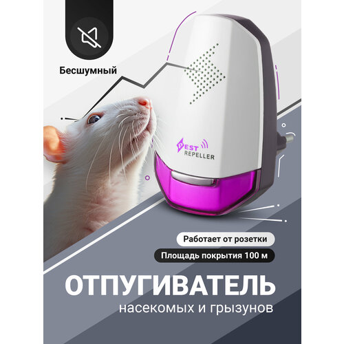 ������ ������ ������������ ���������, ����� � �������� �������������� SSY ����