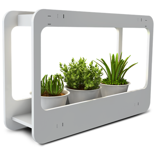 ������ ������ Jazzway ���������-���������� ��� �������� PMG 002 LED, 1 ��., ����� ����