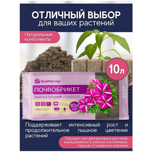 ������ ������ ����������� ��� ������������� ������ ��������� ��������� (�������� ���������). ������ �������. ���������, 10 � ����