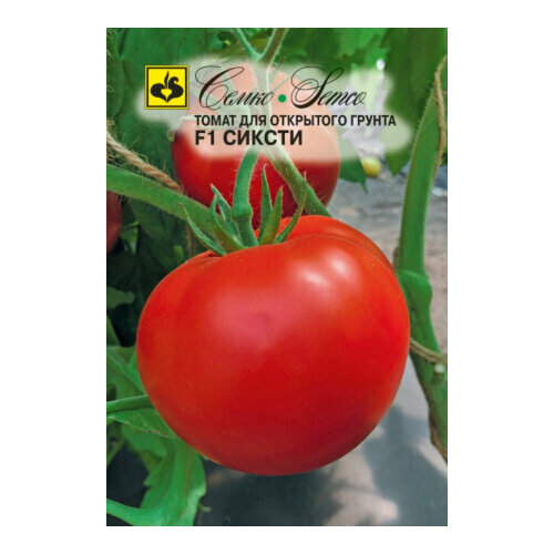 ������ ������ ������ ����� ������ F1 10�� ��� (�����) ����