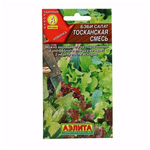 ������ ������ ������ ���� ����� 