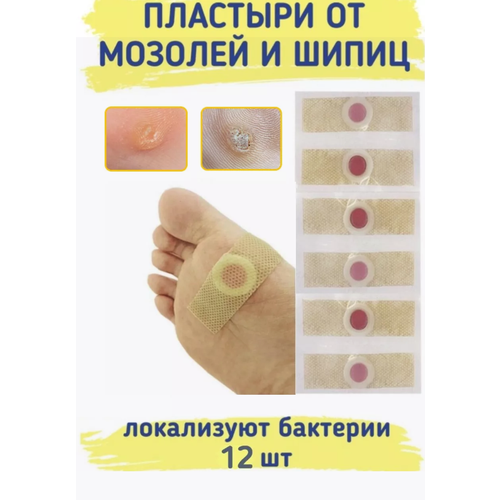 ������ ������ �������� �� ������, 12 ��. ( 2 ����� �� 6) ����