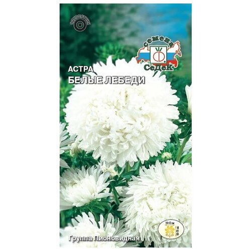 ������ ������ ������ ����� ����� ����� ������ ����