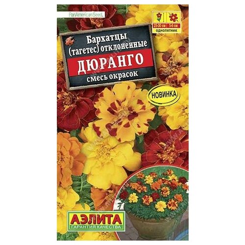 ������ ������ ������. �������� 