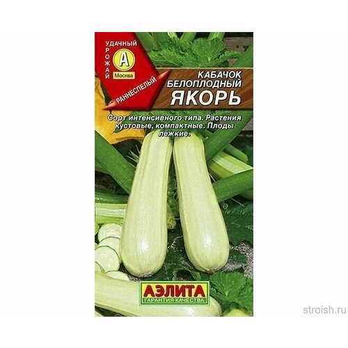 ������ ������ ������ ������� ����� 8�� ������ (������) ����� ����� ����