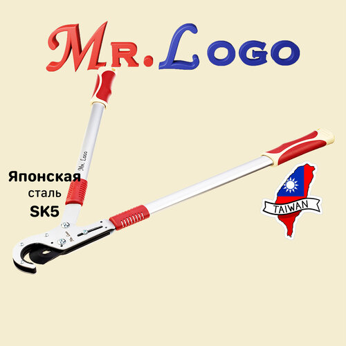      Mr.Logo . 3650       -     , -,   