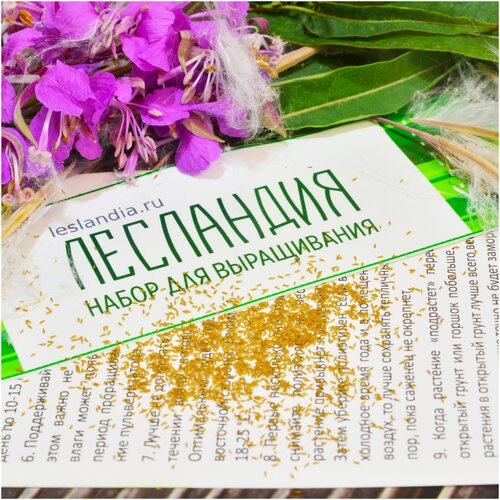 ������ ������ ����-��� ������, ������, 500 �� ����