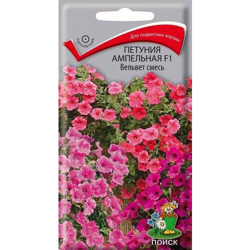 ������ ������ ������ ����� ������� ��������� ������� ����� F1 5 ��. ����