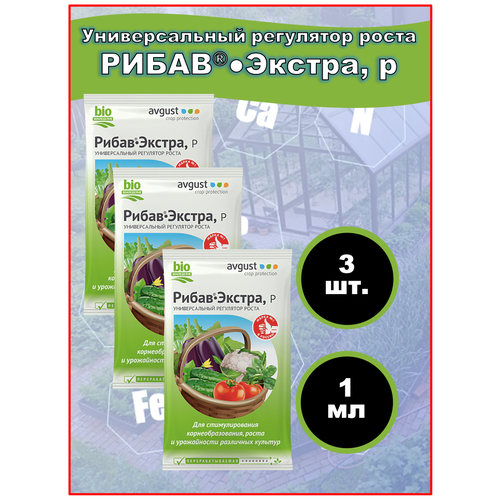 ������ ������ ��������� ��������� ����� � ����������������� �����-������ 1 ��, 3 �� ����