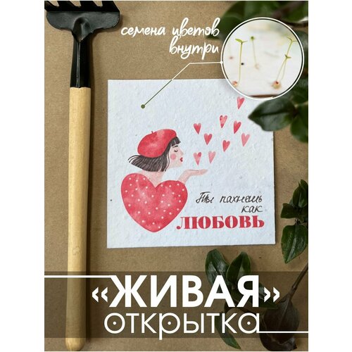 ������ ������ 