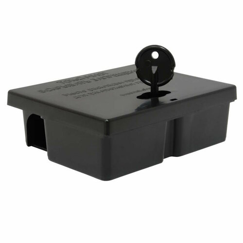 ������ ������ ����������� ��������� ��� ���� ����