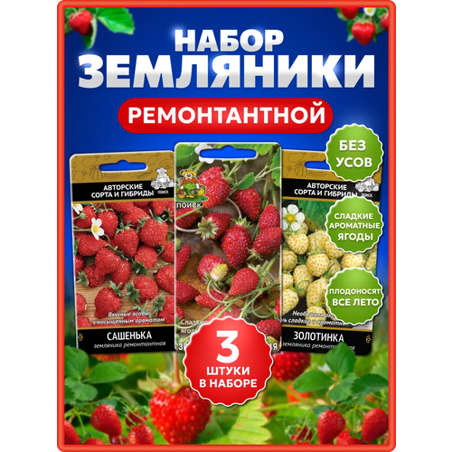 ������ ������ ����� / ������ ����� ������ ���������, ����� ������� ����, ���������, �����, ��������, ����, ��� ����