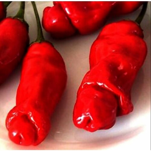 ������ ������ ������ ������� ����� ���� ����