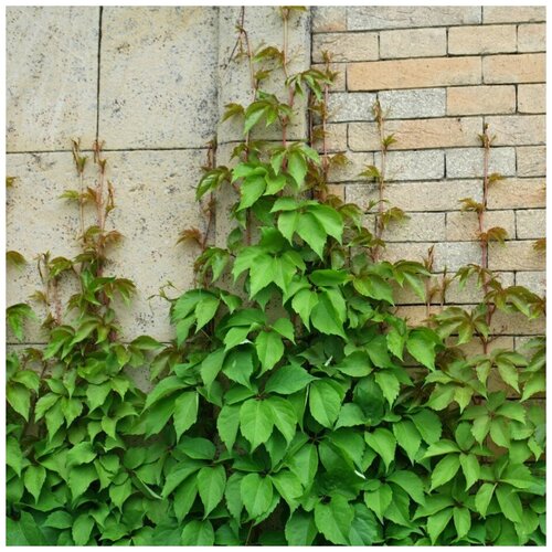 ������ ������ ������ ������ ������� �������� ��������������� 30 ��. ����