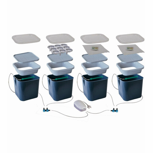 ������ ������ ����������� ��������� ��������� ���� 4-� ���������, ������ ����