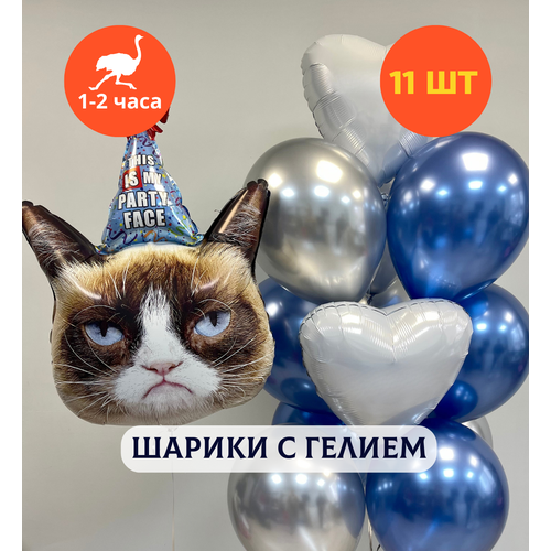 ������ ������ ������ ��������� �� ���� ��������, ��������� ���� � ������, ���� � ���� ��������, ����� ����� ��� ������� 