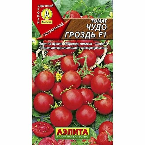 ������ ������ ������ ����� ���� ������ F1, ������������, �����������, (������) 20�� ����