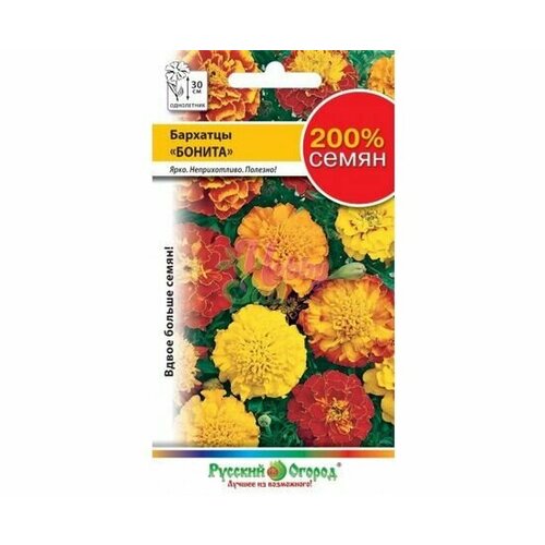 ������ ������ ������ �������� ����������� ������ 0,6� ����� 25�� (������� ������) 200% ����