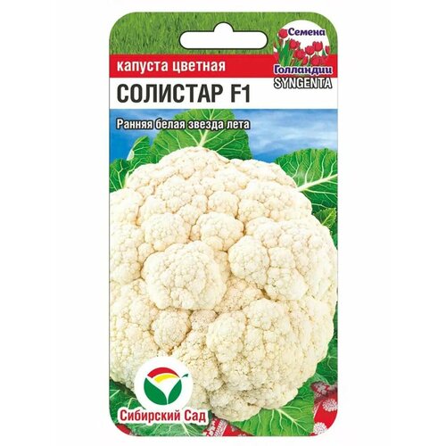 ������ ������ ������� ������� 