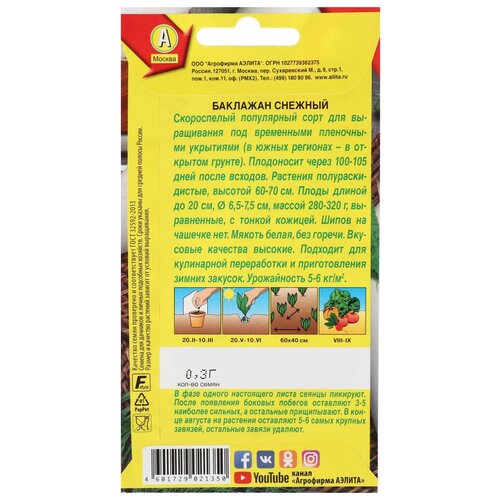 ������ ������ ������ �������� 