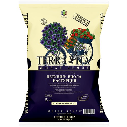 ������ ������ ����� ����� ����� �������-�����-���������, 5 � ����