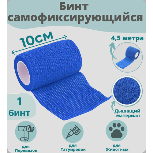 ������ ������ ���� ���������� ����������������� ������������, 10�4,5, 1 ����� ����