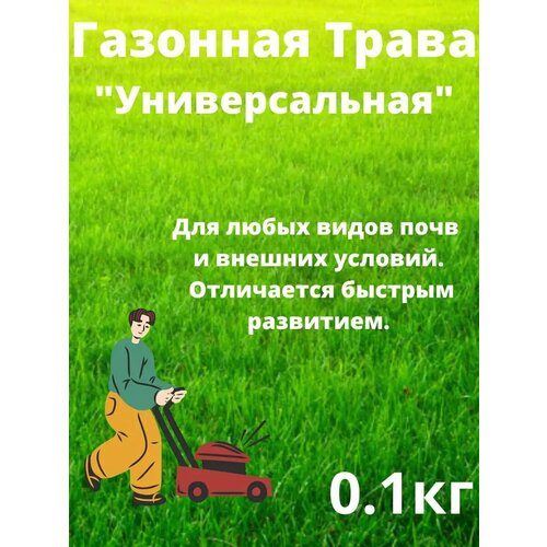 ������ ������ �������� ����� 