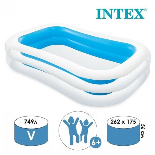    INTEX ,  262  175  56 ,  6 , 56483NP INTEX,     -     , -,   