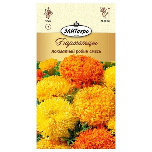 ������ ������ �������� �������� ����� ����� (0,3 �), 2 ������ ����