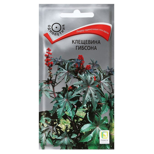 ������ ������ ������ ����� ��������� ������� 2 � ����