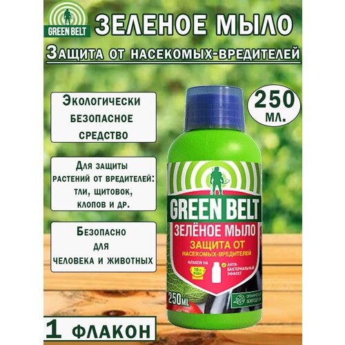 ������ ������ ������� ���� Green Belt, ��� ��������, ������ �� ���������, 250��, 1 ������ ����