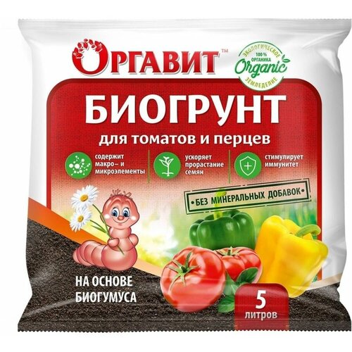 ������ ������ ����� �� ������ ��������� ������� ��� ������� � ������, 5 � ����