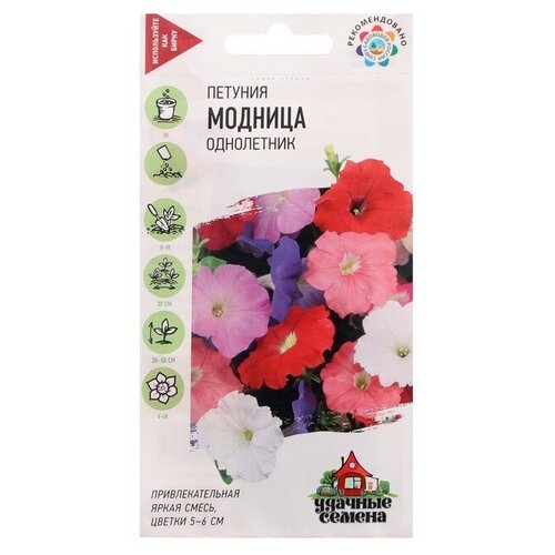 ������ ������ ������� 