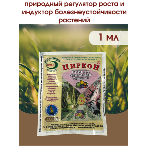 ������ ������ ���������� ����� �������� � ����� ������� ������. �������� 1 ������ 1 ��. ����