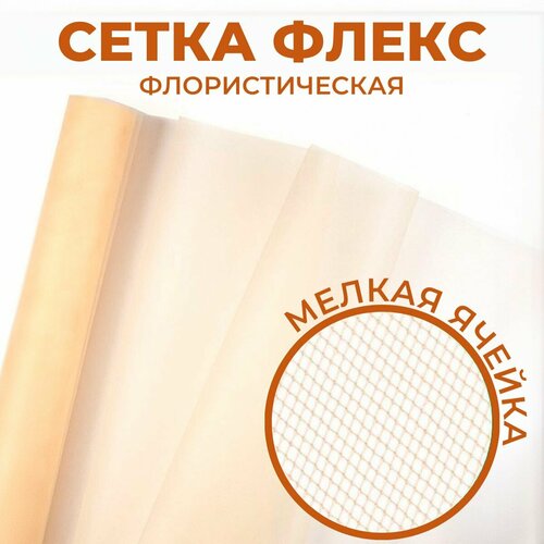 ������ ������ �������� ��� ������ � �������� ����� 