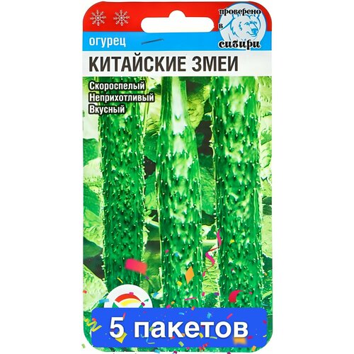 ������ ������ ������ ������ ��������� ��� 