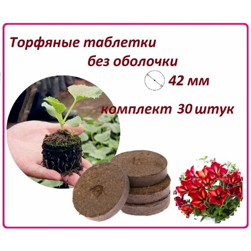 ������ ������ �������� �������� ��� ������� ��� ��������, 30 ����, d 42 ��, ����� ��� ������������ ����� ����� ������, ������ � �������� ����