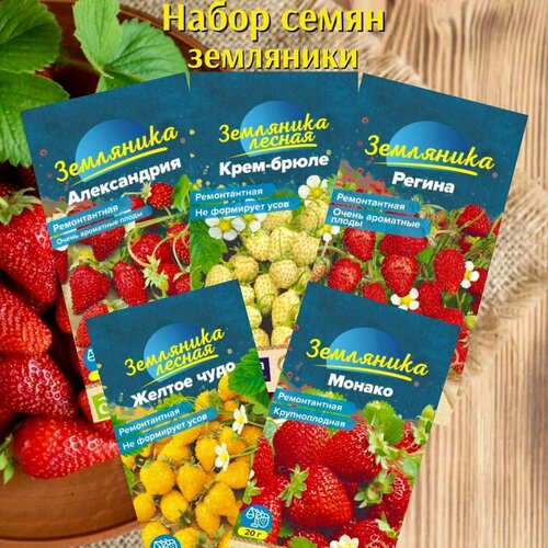 ������ ������ ����� ����� ���� ��������� 5 �������� ����