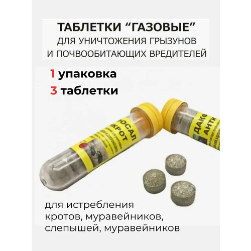 ������ ������ �������� �� ������ � �������� �������� �������� ����