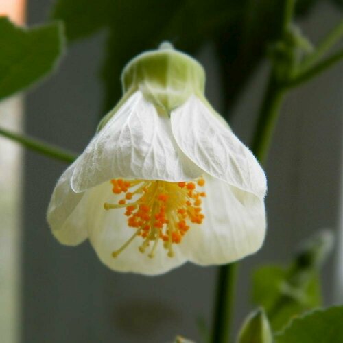 ������ ������ ������ �������� ���� ���� 7 ��. (1 ��������) ����